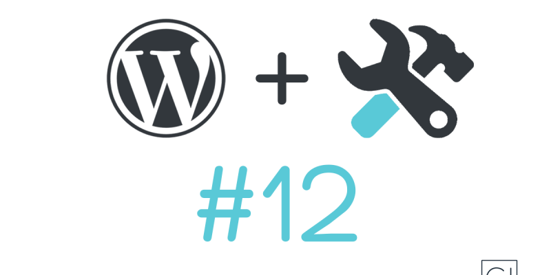 #12 – WordPress Post Formats