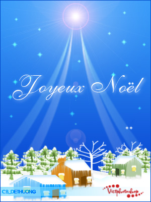 Ngôi sao Noel