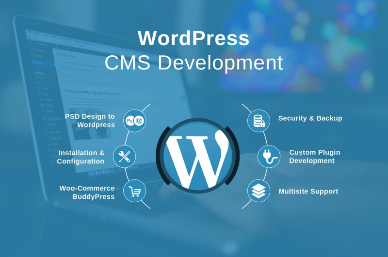 Ảnh khóa học Lập trình Wordpress chuyên nghiệp ( Pre )